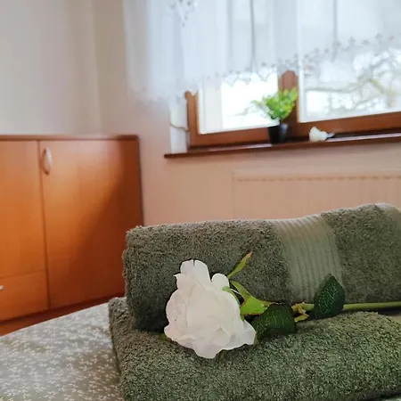 Apartmaji Dora *